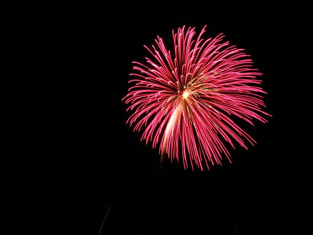 Diwali Celebration